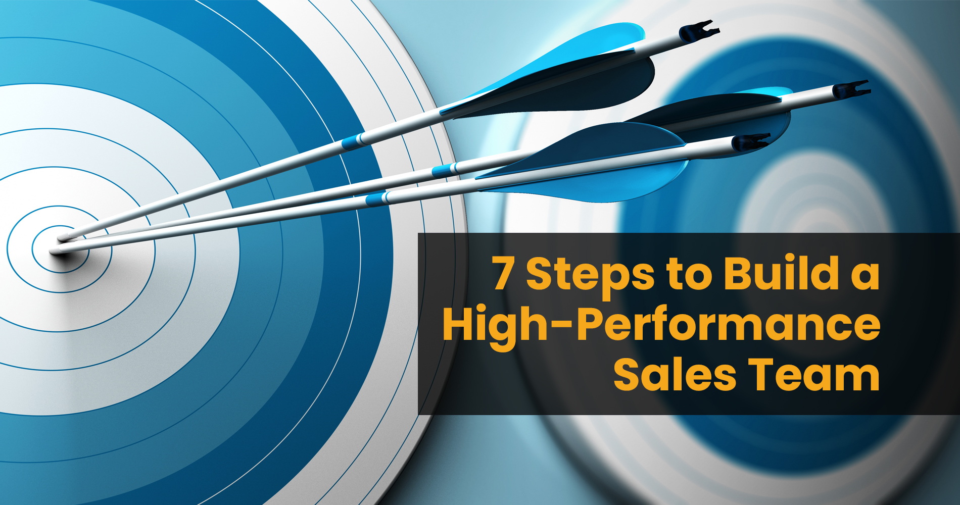 7 Steps To Build A High Performance Sales Team